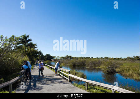 The Anhinga Trail, Royal Palm, Everglades National Park, Florida, USA Stock Photo