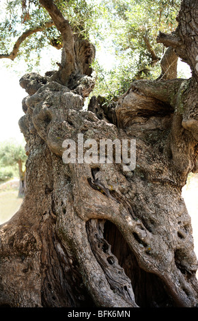 Zakynthos, Greece Stock Photo