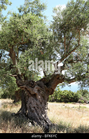 Zakynthos, Greece Stock Photo
