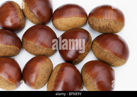 Chestnuts white background full frame Stock Photo
