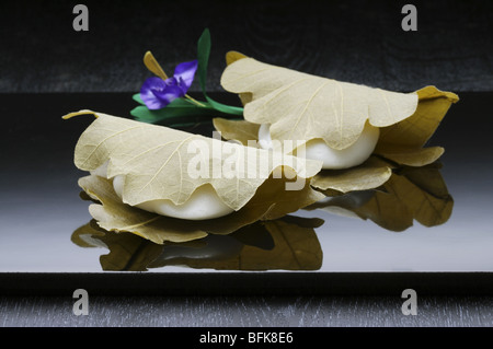 Wagashi wrapped in leaves black background Stock Photo