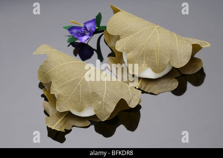 Wagashi wrapped in leaves black background Stock Photo