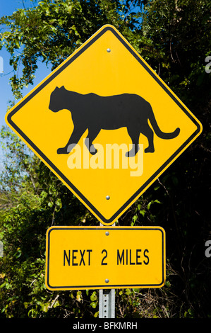 A warning sign for panthers crossing the road, Everglades National Park, Florida, USA Stock Photo