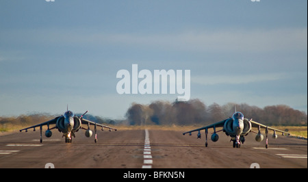 BAe Harriers GR7/9 RAF No 1 Sqn Cottesmore on TLT exercise at RAF Kinloss Moray Scotland.  SCO 5542 Stock Photo