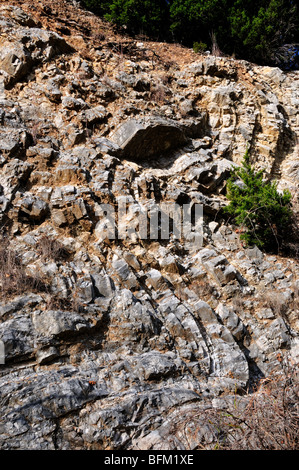Folds in limestone, Oklahoma, USA. Stock Photo