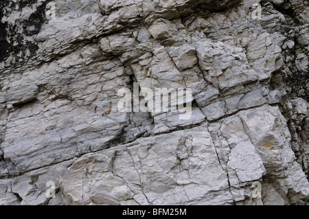 Limestone outcrop, Oklahoma, USA. Stock Photo