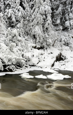 Grass River in early winter, Pisew Falls Provincial Park, Manitoba, Canada Stock Photo