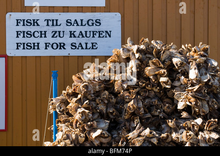 A stack of dried fish heads in Lofoten, North Norway Stock Photo