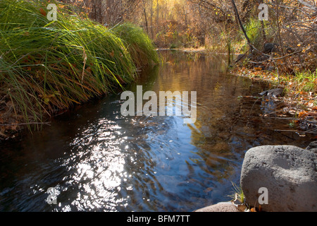 Pools along Hot Springs Creek at the Muleshoe Ranch Stock Photo