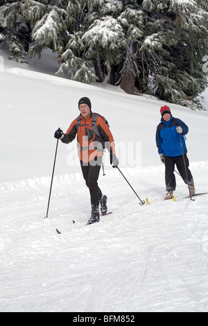 Senior citizen cross country or nordic skiers on a groomed trail at Mount Bachelor in the Oregon Cascade Mountains Stock Photo