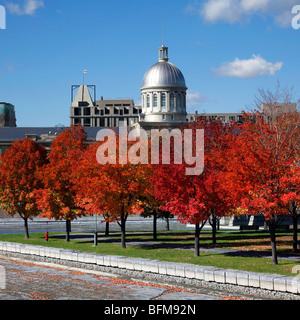 Fall in Bonsecours Bassin Park in Montreal, Canada Stock Photo