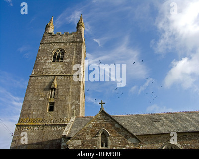 Rooks & Church Tower, Week St Mary, Cornwall Stock Photo