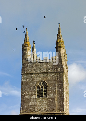 Rooks & Church Tower, Week St Mary, Cornwall Stock Photo