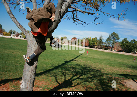 seven year old  boy climbing a tree in a park Stock Photo