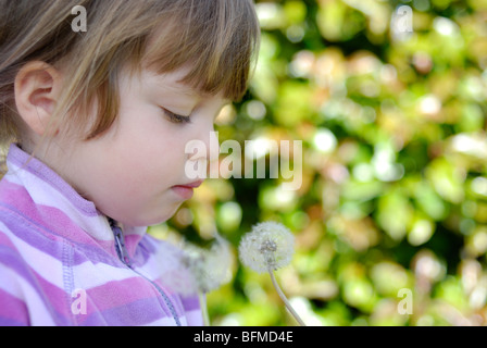 Cute three year old girl with dandelion seeds. Stock Photo