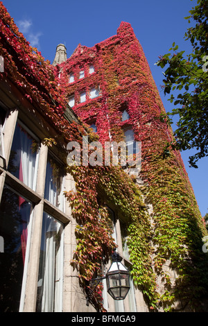 Vines in autumn on Beyer Building in Old Quadrangle, The University of Manchester, UK Stock Photo