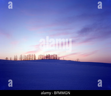 Sunrise Color Over Snow Filed Stock Photo