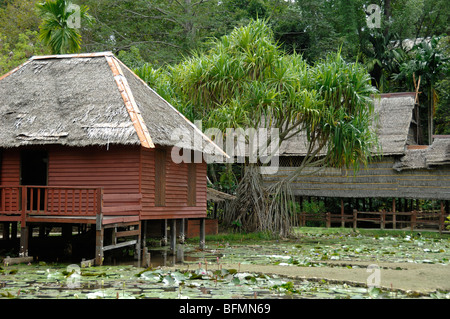 Brunei Wooden & Thatch House & Pandanus Pulcher Palm or Screw Pine