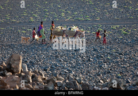 El Molo women and children set off in the morning with their donkeys to fetch water from a spring several hours journey away. Stock Photo