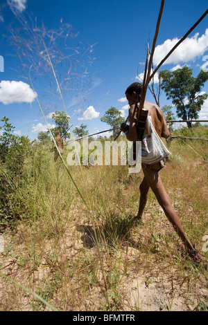 Namibia, Bushmanland. Armed with bow, arrows and digging sticks, a Bushman strides through the bushveld in search of porcupine. Stock Photo
