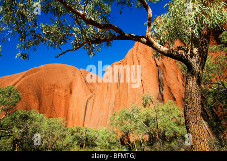 Australia, Northern Territory, Uluru-Kata Tjuta National Park.  Kantju Gorge on the Mala Walk at Uluru (Ayers Rock) (PR) Stock Photo