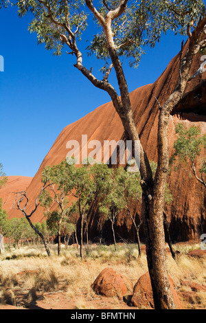 Australia, Northern Territory, Uluru-Kata Tjuta National Park.  View of Uluru (Ayers Rock) from the Base Walk. (PR)