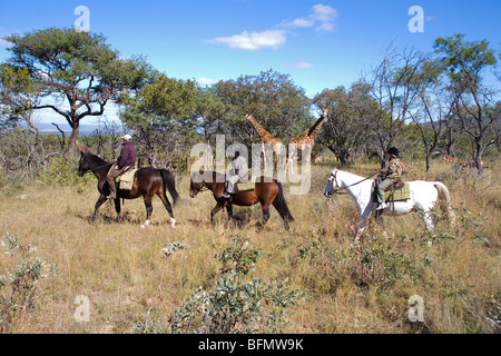 South Africa, Limpopo Province, Waterberg Plateau. A safari guide leads children on horseback. (MR) Stock Photo