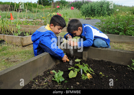 Children visit a local allotment near to the school to learn about healthy eating and gardening, West Yorkshire Stock Photo