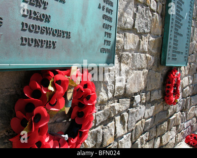 Falkland Islands; Stanley. Detail of plaque and poppies at the 1982 Liberation Monument. Stock Photo