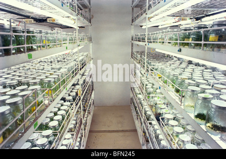 Tissue culture room Stock Photo