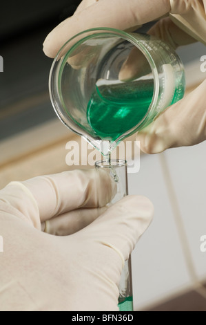 Scientist mixing fluids in test tube Stock Photo