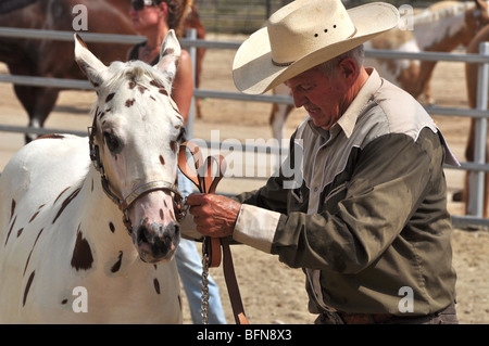 A cowboy holds his horse during the bridle competition at the Western Idaho Fair Stock Photo