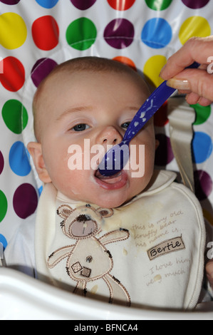 Four month old baby boy being spoon fed with his first solid food uk Stock Photo