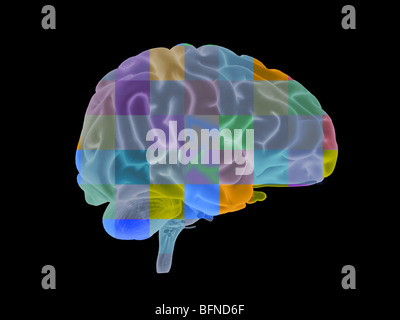 Illustration of the human brain Stock Photo