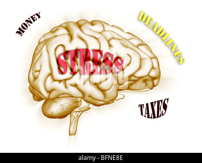 illustration of the human brain under stress from issues such as money, taxes and deadlines Stock Photo