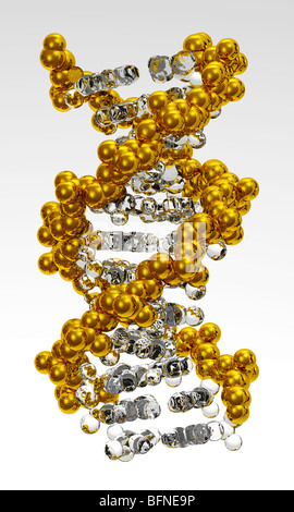 computer generated three dimensional model of the DNA double helix Stock Photo