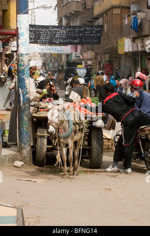 Vendor sells tomatoes from donkey cart in the souk in Luxor Egypt. Stock Photo