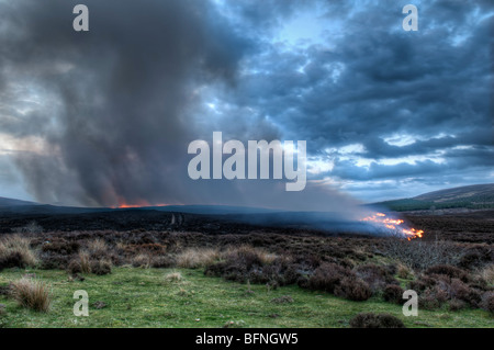 Hill fires on hills near A836 between Lairg and Bonar bridge in Scotland taken at dusk with burning heather and brush. HDR image Stock Photo