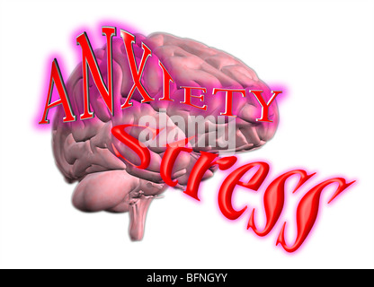 Illustration of the human brain with the words anxiety and stress superimposed Stock Photo