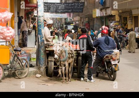 Vendor sells tomatoes from donkey cart in the souk in Luxor Egypt. Stock Photo