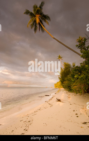 beach at Kri island, Papua, Indonesia Stock Photo