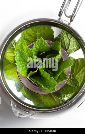 Fresh mint leaves in glass and silver pot Stock Photo