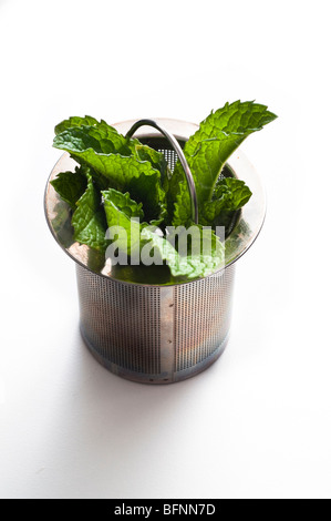 Fresh mint leaves in glass and silver pot Stock Photo