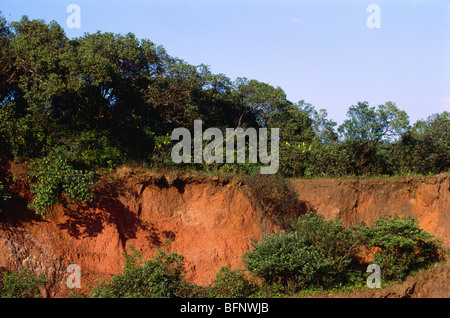 Land Erosion ; Mahableshwar ; Maharashtra ; India ; asia Stock Photo