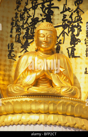 Gilded statue of Buddha, Vishwa Shanti Stupa, Rajgir, Bihar, India, Asia Stock Photo