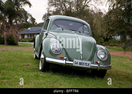 1954 Volkswagen Beetle, Western Australia Stock Photo