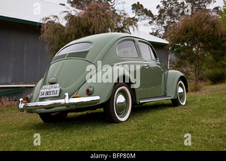 1954 Volkswagen Beetle, Western Australia Stock Photo