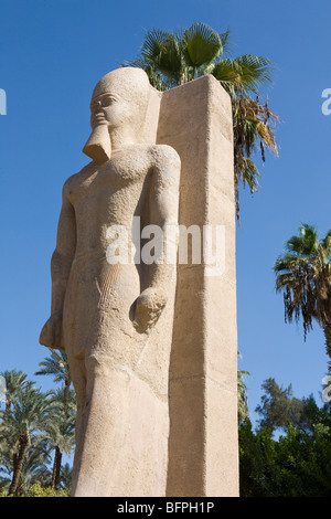 Colossus of Ramesses II within the museum garden at the remains of Memphis in the village of Mit Rahina, Egypt Stock Photo