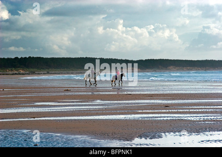 Couple riding horses, Roseisle Beach, near Burghead, Moray, Scotland, UK Stock Photo