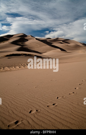 USA Colorado Great Sand Dunes National Park sand dunes with Sangre de Cristo - foot steps in sand Stock Photo
